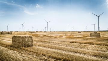 Rohstoffe, Umwelt und Klima als globale Herausforderung für BASF Agricultural Solutions